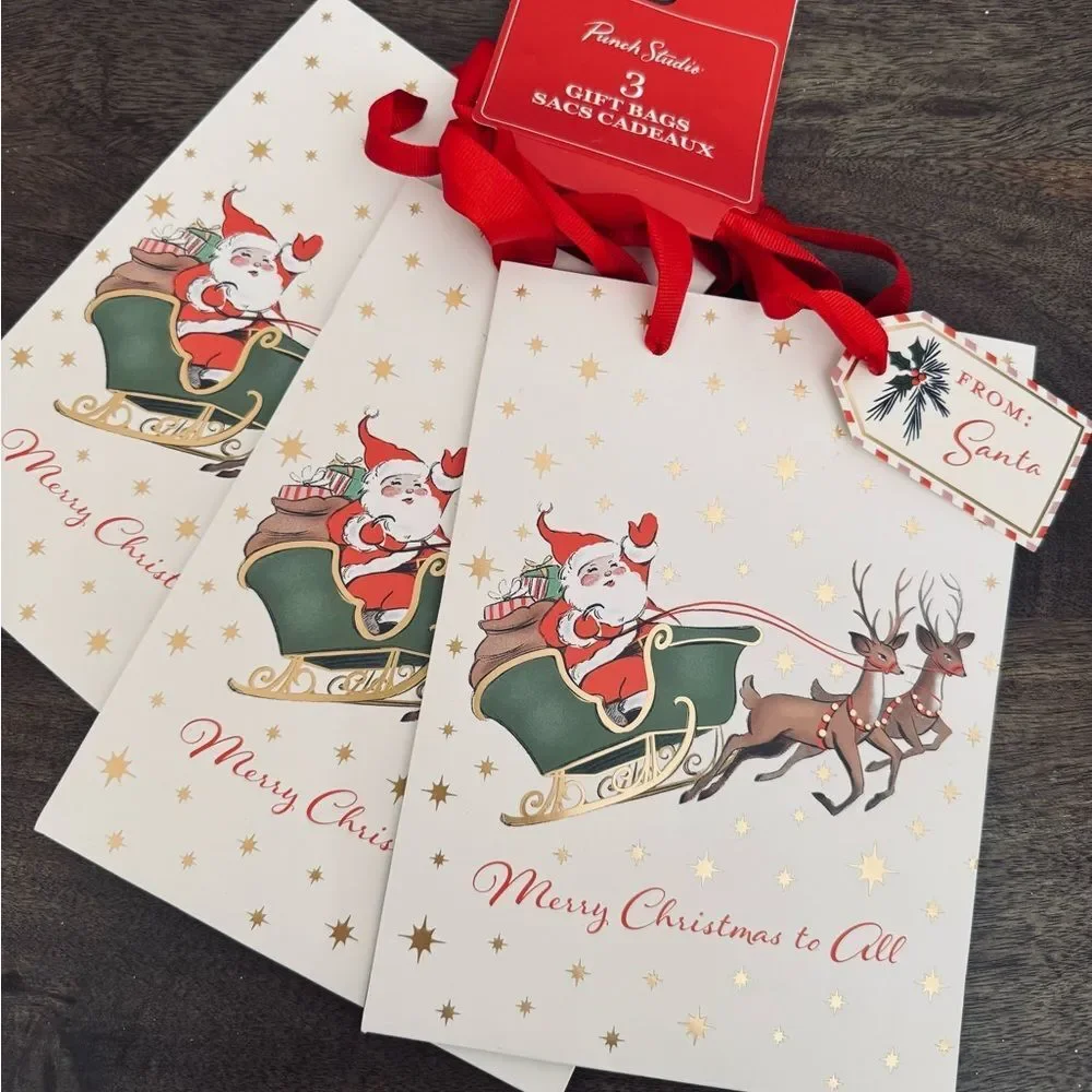 Merry Christmas Santa Claus Sleigh Holiday Gift Bags Bundle Lot